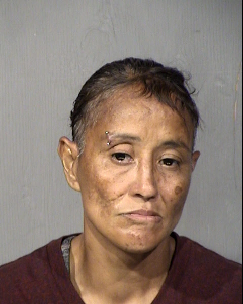 Claudia Cecilia Leyva Mugshot / Maricopa County Arrests / Maricopa County Arizona
