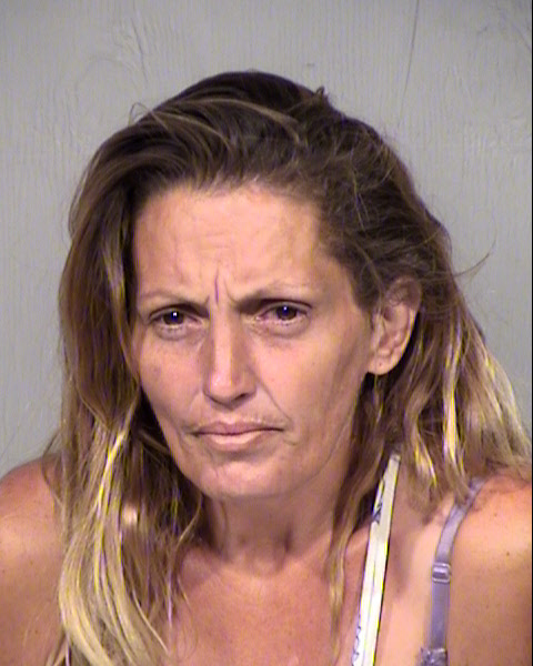 SHERICE HELENE INCE Mugshot / Maricopa County Arrests / Maricopa County Arizona