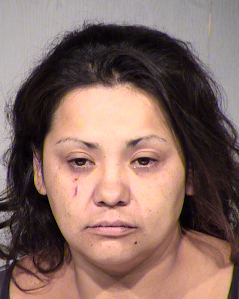 EVELYN TERESA DOMINGUEZ Mugshot / Maricopa County Arrests / Maricopa County Arizona