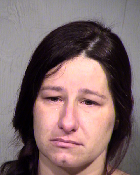 LINDSEY ANN ERICKSON Mugshot / Maricopa County Arrests / Maricopa County Arizona
