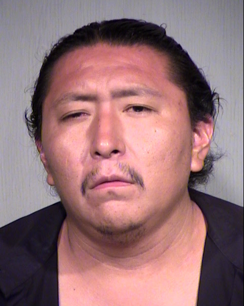 JODIE ZANE MILES Mugshot / Maricopa County Arrests / Maricopa County Arizona