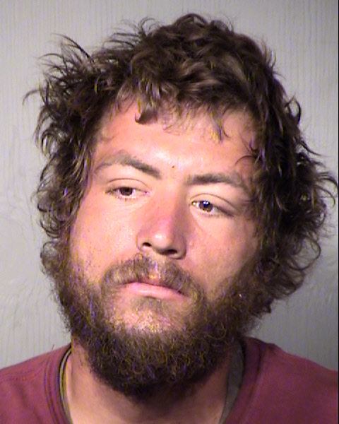 MICHAEL J ROBINSON Mugshot / Maricopa County Arrests / Maricopa County Arizona