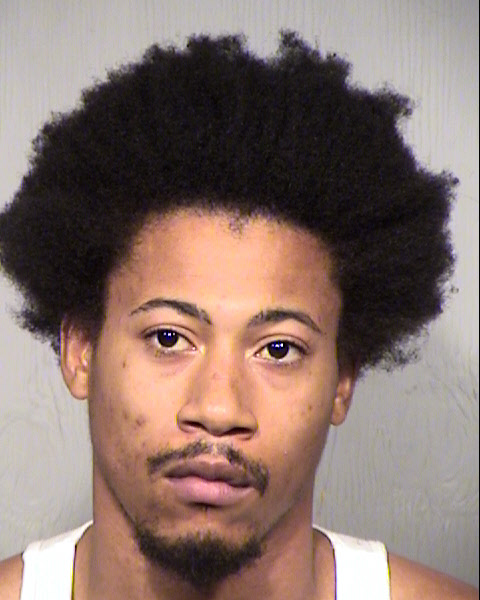 STEPHEN ALLEN PIPPINS Mugshot / Maricopa County Arrests / Maricopa County Arizona