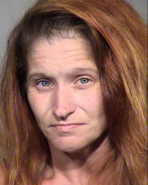 KRISTA ANNE BADGER Mugshot / Maricopa County Arrests / Maricopa County Arizona