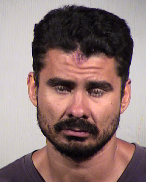 DIMITRI D LEHMAN Mugshot / Maricopa County Arrests / Maricopa County Arizona