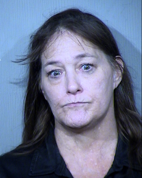 ANN MICHELE COOK Mugshot / Maricopa County Arrests / Maricopa County Arizona