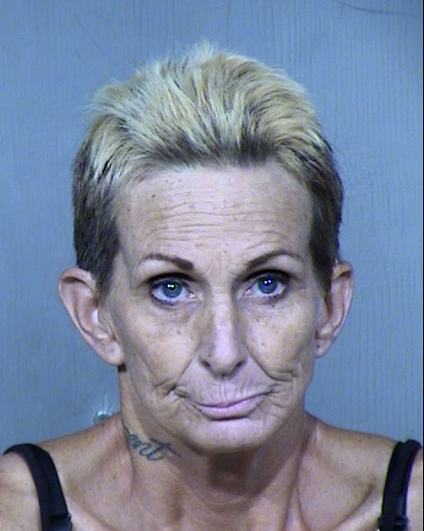 SUZAN ELIZABETH SELF Mugshot / Maricopa County Arrests / Maricopa County Arizona