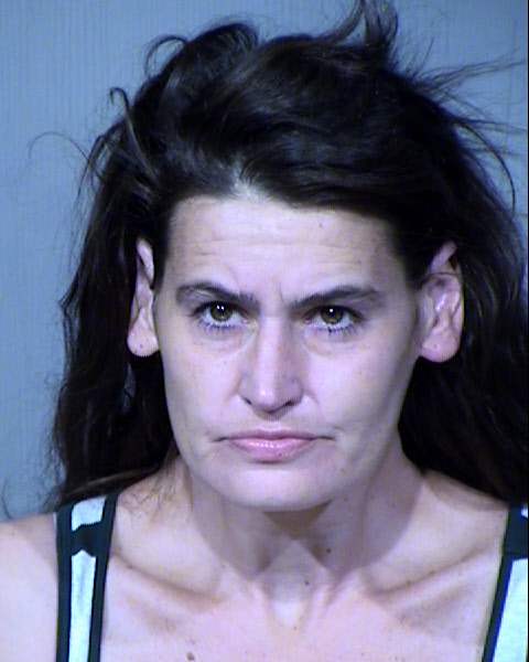 STEPHANIE ELIZABETH HOLMES Mugshot / Maricopa County Arrests / Maricopa County Arizona