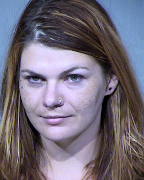 AMANDA RAE YOUNG Mugshot / Maricopa County Arrests / Maricopa County Arizona