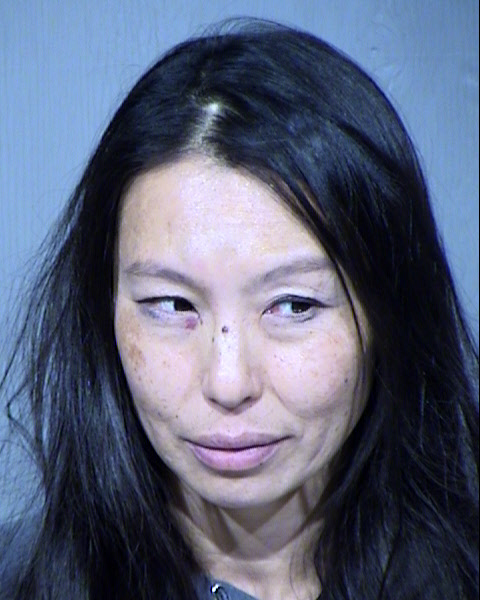 Sara Tonnis Mugshot / Maricopa County Arrests / Maricopa County Arizona