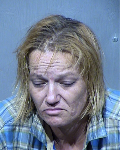 Dana Michelle Forister Mugshot / Maricopa County Arrests / Maricopa County Arizona