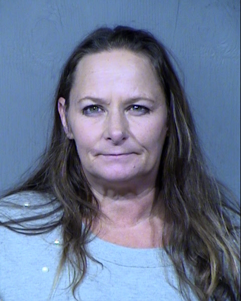 Jodi Marie Warnick Mugshot / Maricopa County Arrests / Maricopa County Arizona