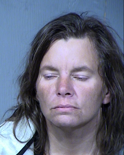 Jennifer Ann Banister Mugshot / Maricopa County Arrests / Maricopa County Arizona