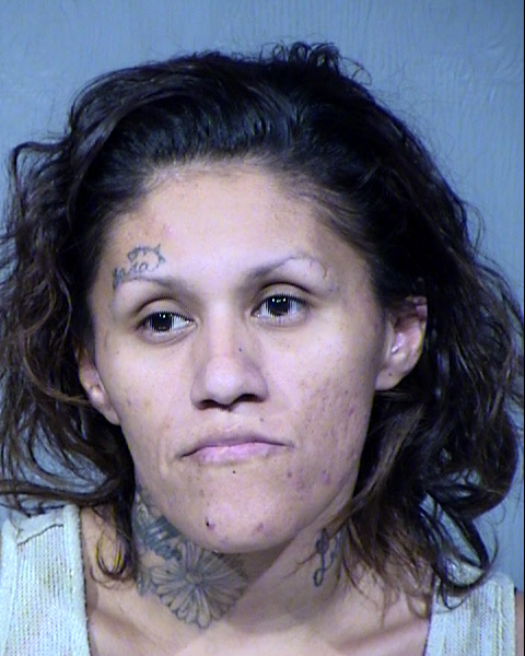 Elisa Lorena Lugo Mugshot / Maricopa County Arrests / Maricopa County Arizona