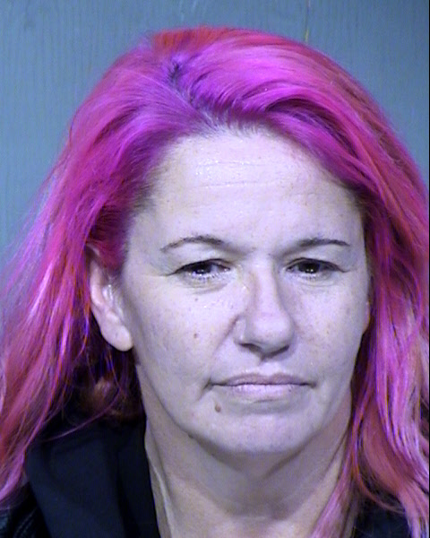 Antoinette Marie Dudek Mugshot / Maricopa County Arrests / Maricopa County Arizona
