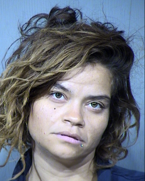 Jennifer Delores Evans Mugshot / Maricopa County Arrests / Maricopa County Arizona