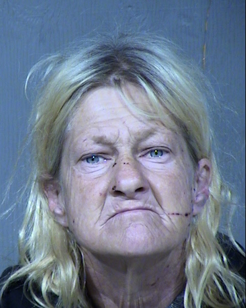 Nikki Ann Bartlett Mugshot / Maricopa County Arrests / Maricopa County Arizona