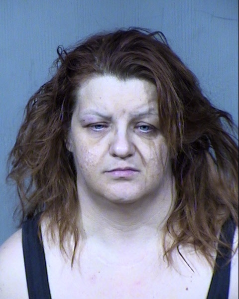 Bonnie Sue Hayes Mugshot / Maricopa County Arrests / Maricopa County Arizona