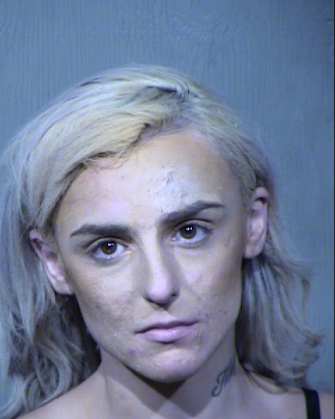 Hillary Lane Souza Mugshot / Maricopa County Arrests / Maricopa County Arizona