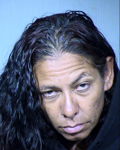 Stephanie Delphina Lizarraga Mugshot / Maricopa County Arrests / Maricopa County Arizona